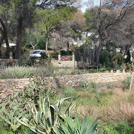 Nature Lovers * أوروبيسا ذيل مار
