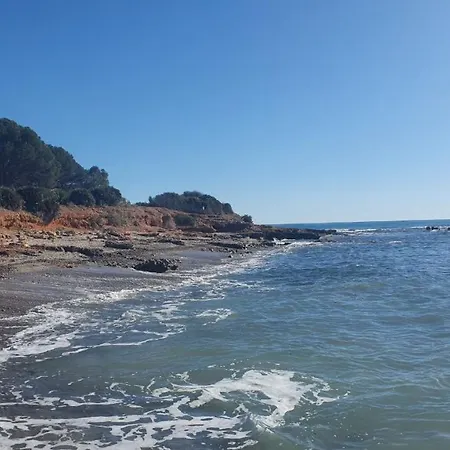 Nature Lovers * أوروبيسا ذيل مار
