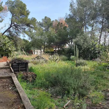 Nature Lovers * أوروبيسا ذيل مار